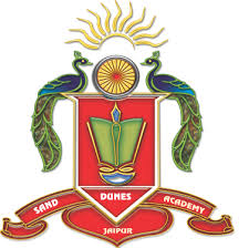 Sand Dunes Academy Company logo